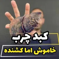 قاتل کبد چرب