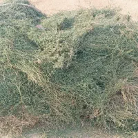 یونجه خشک ،