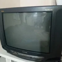 تلویزیون