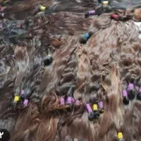 خریدمو طبیعی بزرگترین مرکز شعبه اصلی بالاترین قیمت