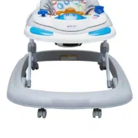 روروئک دلیجان