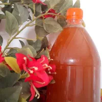 آبغوره و آب نارنج شمال|خوردنی و آشامیدنی|قم, چهل اختران|دیوار