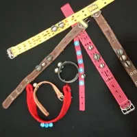 قلاده|لوازم جانبی حیوانات|فریمان, |دیوار