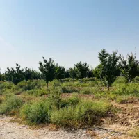 ۶۳۹ متری واسه خرید بهترین سرمایه درمنطقه ویلایی|فروش زمین و ملک کلنگی|مشهد, عبادی|دیوار