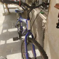 دوچرخه حرفه ی