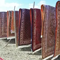 قالی شویی گلبهار