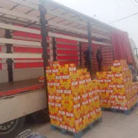 صادرات نبات زعفرانی