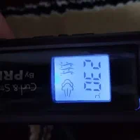 اتو مو بخار پرنسلی|آرایشی، بهداشتی، درمانی|کرج, حصارک بالا|دیوار
