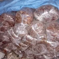 خرما شاهانی|عمده‌فروشی|زرین دشت (فارس), |دیوار