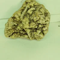 فروش سنگ مرجان