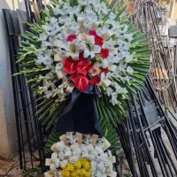 تاج گل|خدمات پذیرایی، مراسم|تهران, شهید رجایی|دیوار