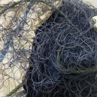 تورشیری پرژوکتوری