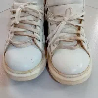 کفش|کیف، کفش، کمربند|نیشابور, خط کاشمر|دیوار