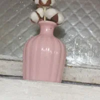 پاسماوری|ظروف نگهدارنده، پلاستیکی، یکبارمصرف|مشهد, موعود|دیوار