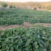 زمین-4000متری