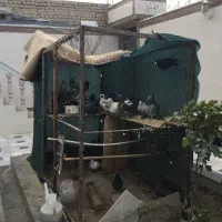 قفس فلزی مرغ و کبوتر