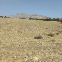 فروش  زمین  ۹۵۰۰ متری در صالح آباد  درجای خوب|فروش دفتر صنعتی، کشاورزی، تجاری|صالح آباد (ایلام), |دیوار