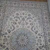 فرش دستباف نائین  گل ابریشم ۹ لا|فرش|تهران, سید خندان (جلفا)|دیوار