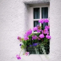 تدریس خصوصی ویژه پایه پنجم تا نهم