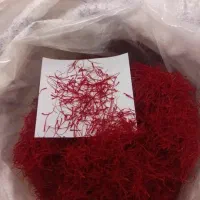 سوغات خراسان|عمدهفروشی|قم, یخچال قاضی|دیوار