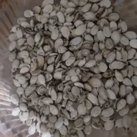 تخمه هندوانه خام