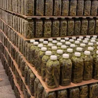 خیارشور بطری|خوردنی و آشامیدنی|اهواز, شهرک اکباتان|دیوار