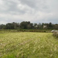 زمین-مسکونی-شفت