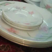 آرکوپال امریکایی