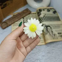 شمع اشکال مختلف