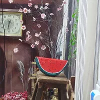 هندوانه مصنوعی