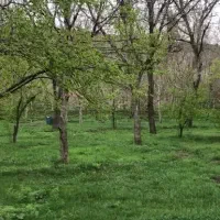 باغچه مناسب سرمایه گذاری و تفریح