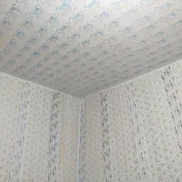 رنگ آمیزی ساختمان|خدمات پیشه و مهارت|زهک, |دیوار