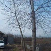 اجاره-ملک-با-تقریبا-هفت-هزار-متر-حیاط