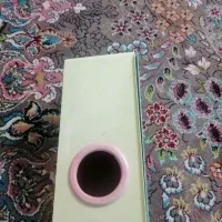 لانه یا چال عروس هلندی|لوازم جانبی حیوانات|شیراز, میدان قائم|دیوار