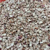 لوبیا *شکسته* چیتی *ایرانی* نصفه مناسب آش شله|خوردنی و آشامیدنی|مشهد, امامیه (شهرک غرب)|دیوار