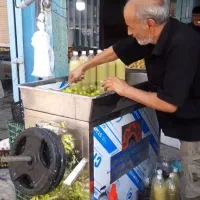 مدل سه تیغه کروم دستگاه پرسی  آبلیموگیری