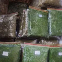 سبزی خروشتی اماده وابپز شده|خوردنی و آشامیدنی|حمیدیه, |دیوار