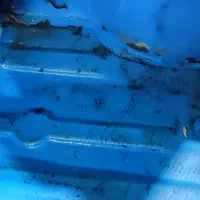 نیسان مدل 92تناژ پایین دوگانه فابریک شاسی سالم|خودرو سواری و وانت|نیشابور, شهرک رسولی|دیوار