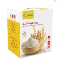 جوانه گندم