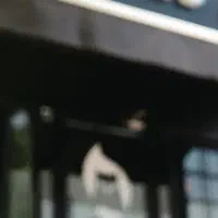 نیروی خدمات جوان آقا و یا خانم