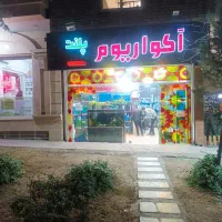 گوپی کوپی فکوری72|ماهی|مشهد, سرافرازان|دیوار