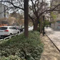 ۱۵۰متر مغازه / تجاری / داروخانه/ حاشیه کلاهدوز