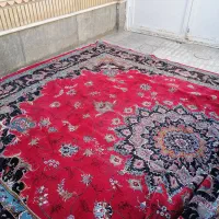 فرش 12متری|فرش|تربت‌حیدریه, ۴۵ متری|دیوار