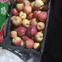 سیب قرمز جعبه ای برا مربا ۳۰ هزار