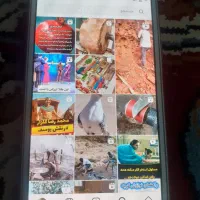 گوشی|موبایل|کنگاور, |دیوار