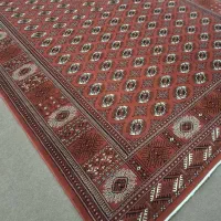 فرش ترکمنی|فرش|گنبد کاووس, |دیوار