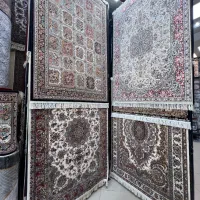 فرش قالیچه ۱۲۰۰ شانه (قیمت کارخانه در فرش نادر)|فرش|تبریز, |دیوار
