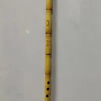 نی عربی