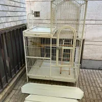 قفس طوطی بزرگ