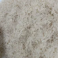 برنج فجر سوزنی درجه یک|خوردنی و آشامیدنی|گرگان, |دیوار